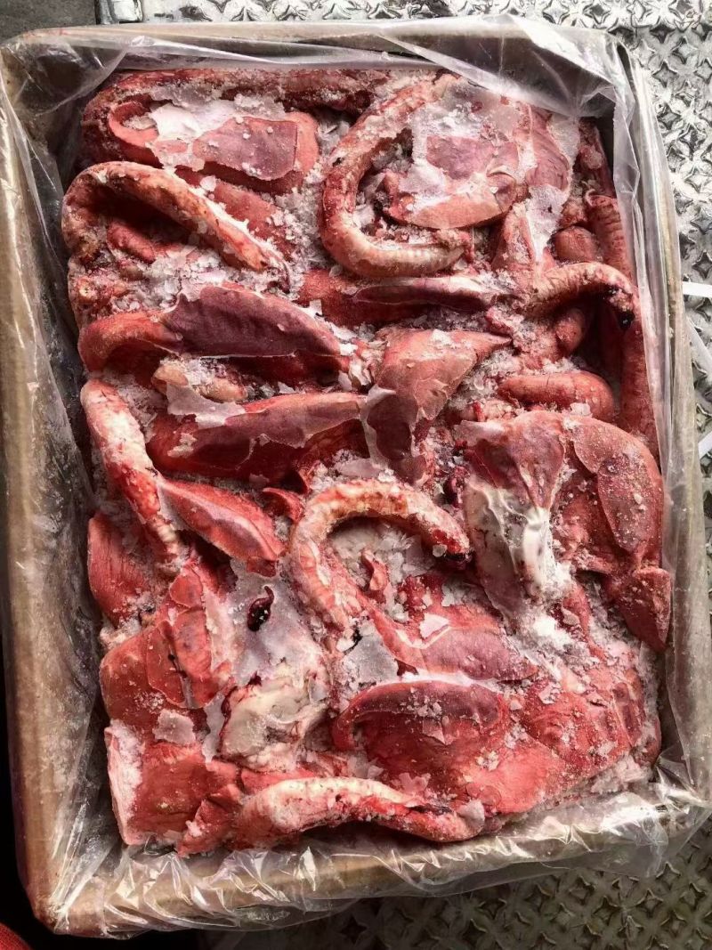 羔羊心肺