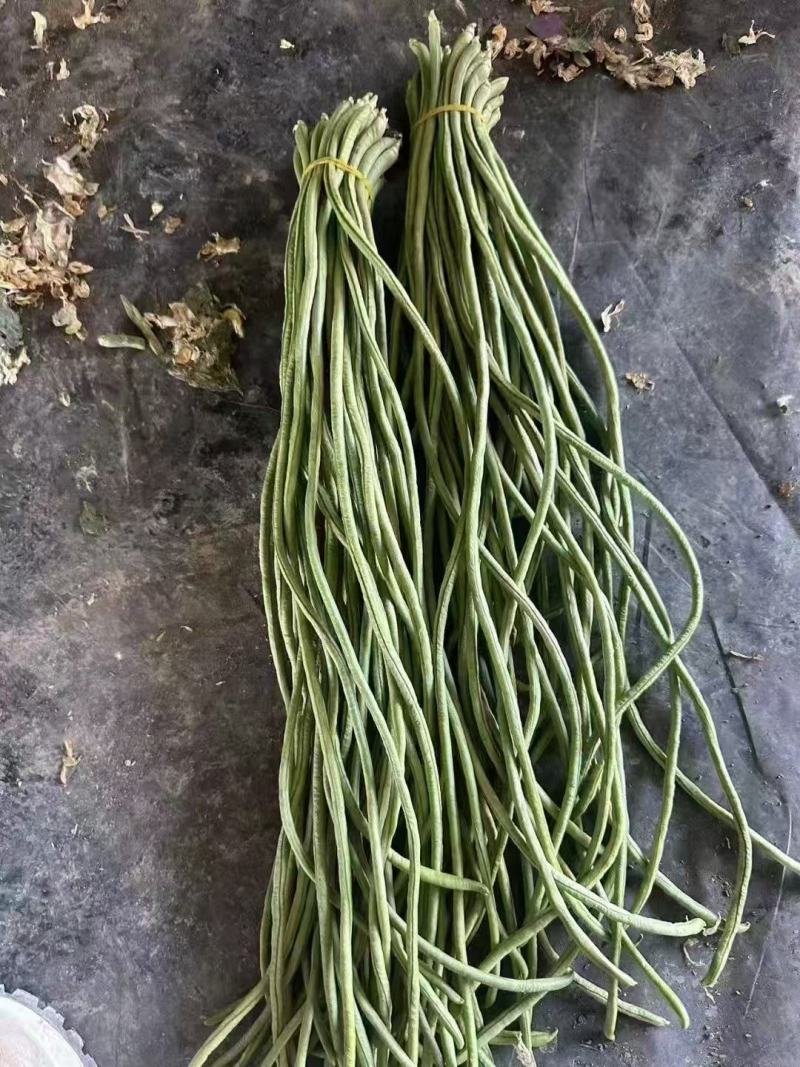 推荐精品豆角青白条豆角货源充足价格实惠欢迎联系