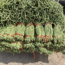 推荐精品豆角青白条豆角货源充足价格实惠欢迎联系