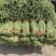 推荐精品豆角青白条豆角货源充足价格实惠欢迎联系