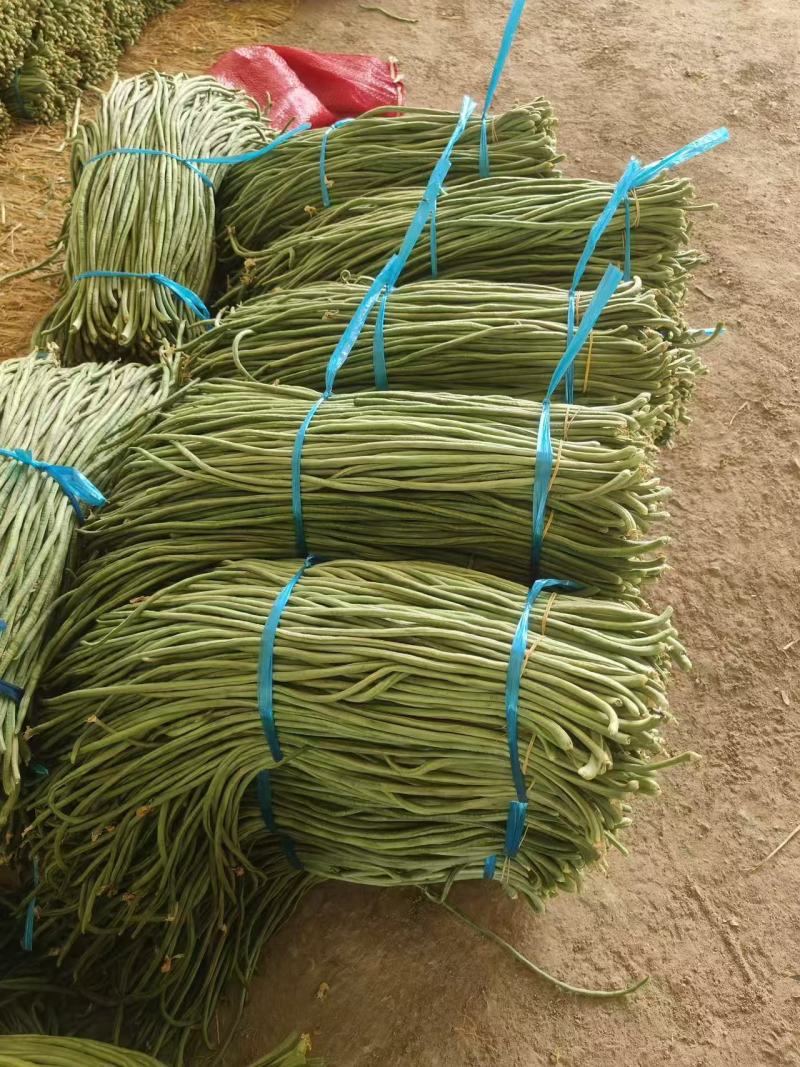 实力推荐青条豆角长豆角价格实惠产地直供欢迎联系