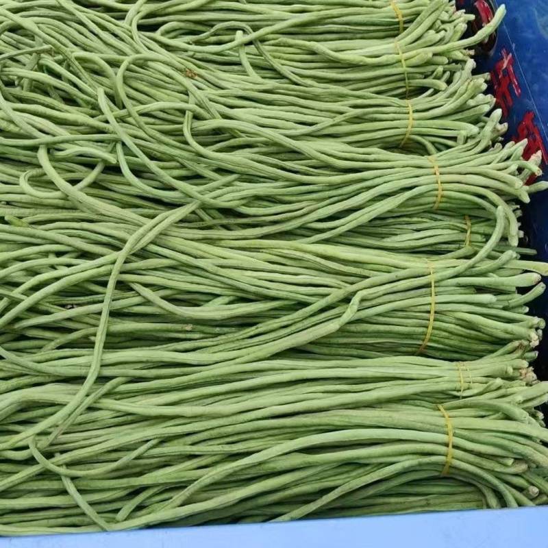 豆角，青条豆角，青白条，大量有货要货，腌制，烘干，精品