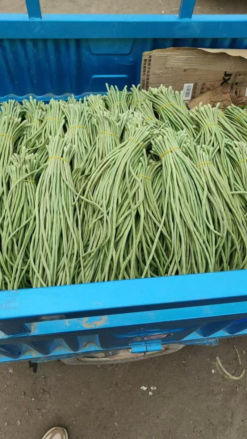 豆角，青条豆角，青白条，大量有货要货，腌制，烘干，精品