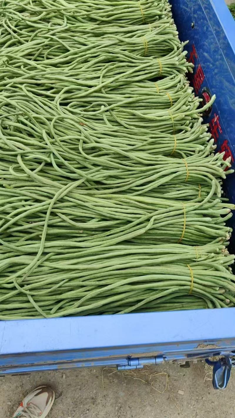 豆角，青条豆角，青白条，大量有货要货，腌制，烘干，精品