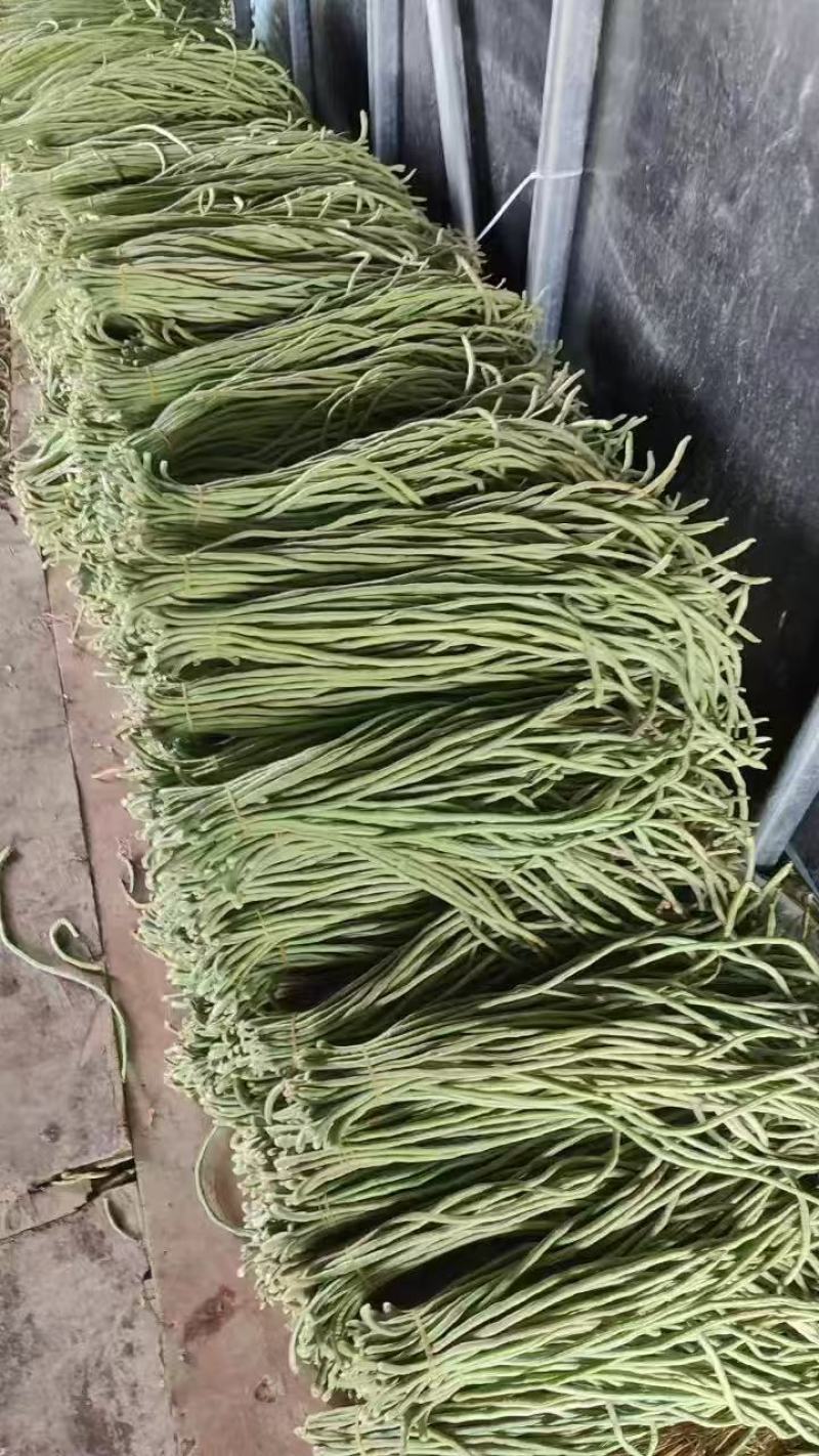 豆角，青条豆角，青白条，大量有货要货，腌制，烘干，精品
