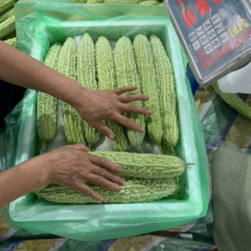 苦瓜