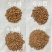 核桃壳磨料核桃壳滤料核桃砂核桃粉