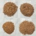 核桃壳磨料核桃壳滤料核桃砂核桃粉