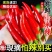 精品，小米红尖椒，今日特价，质量好，品质有保障，需要的联