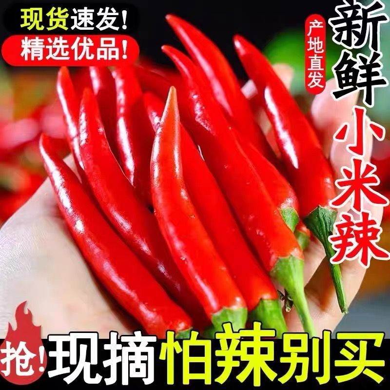 精品，小米红尖椒，今日特价，质量好，品质有保障，需要的联