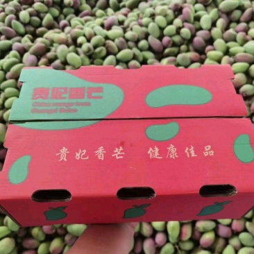 广西贵妃芒果大量上市，电商一件代发，社区团购落地配等。