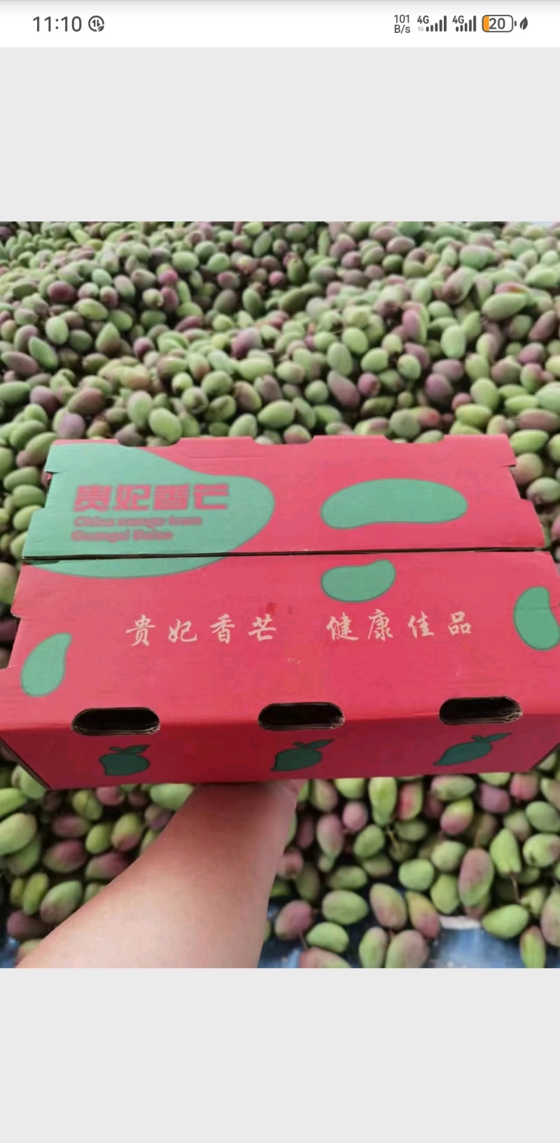 广西贵妃芒果大量上市，电商一件代发，社区团购落地配等。