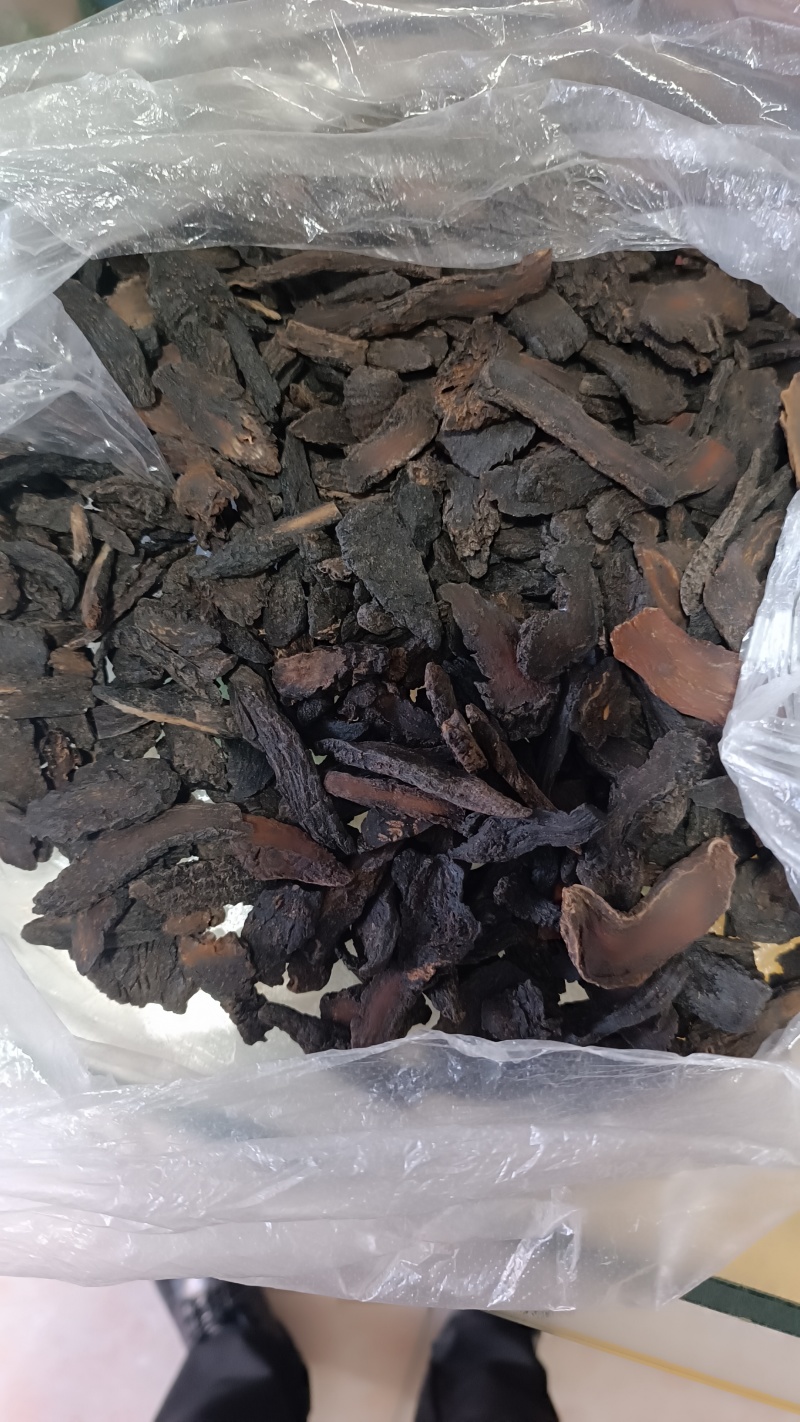 乌兰布和沙漠肉苁蓉，人工养殖，自家基地