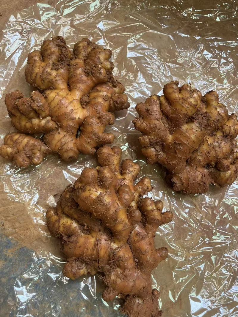罗平精品小黄姜，红土生长，货源充足，自家冷库储存
