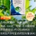 80%克菌丹灰霉病草莓果树真菌病害保护杀菌剂