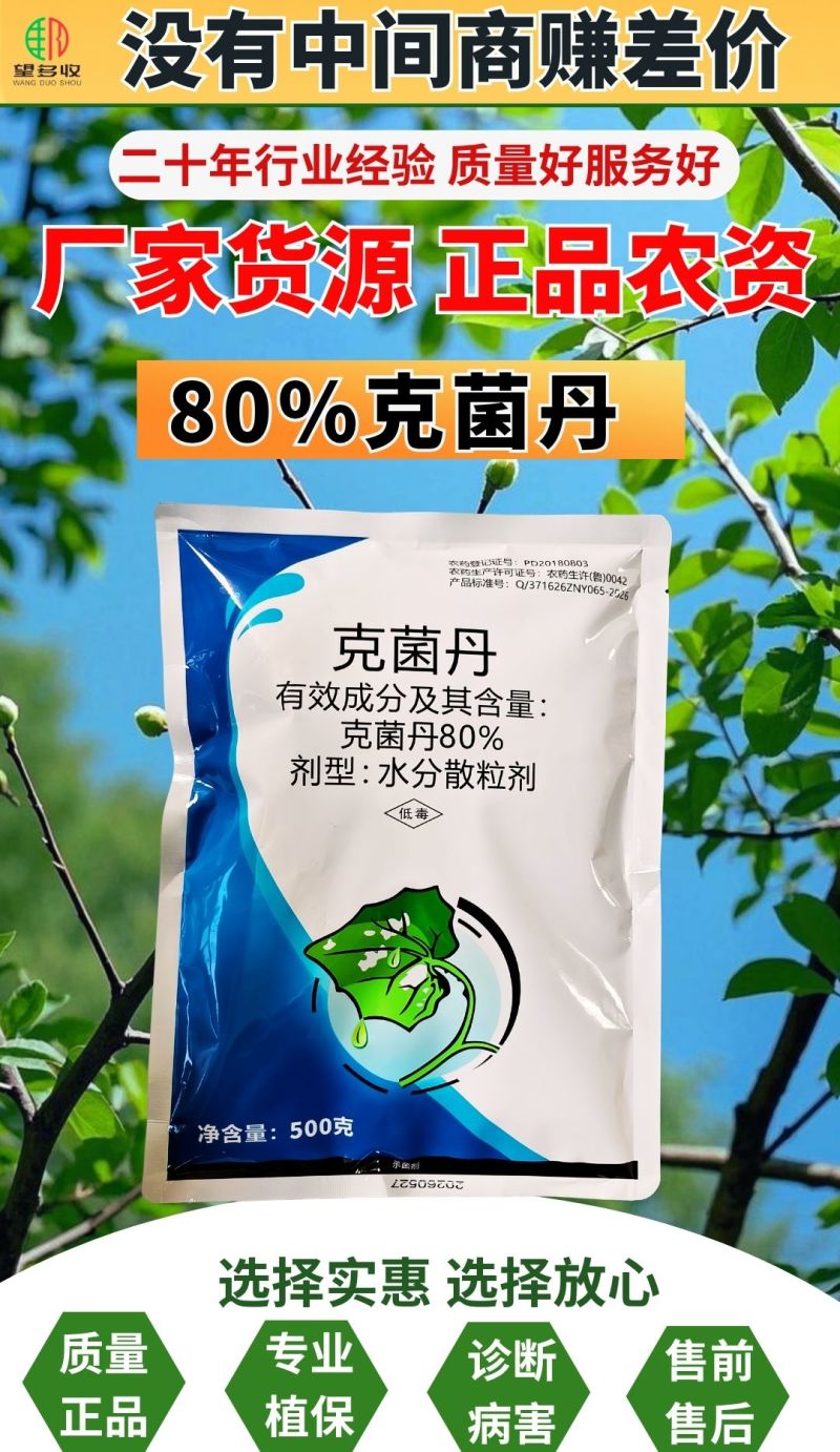 80%克菌丹灰霉病草莓果树真菌病害保护杀菌剂
