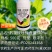 30%肟菌戊唑醇稻瘟病白粉病真菌病害广谱杀菌剂