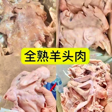 精选白羊头
