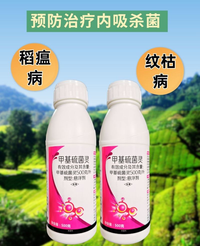 甲基硫菌灵稻瘟病纹枯病预防治疗真菌病害杀菌剂