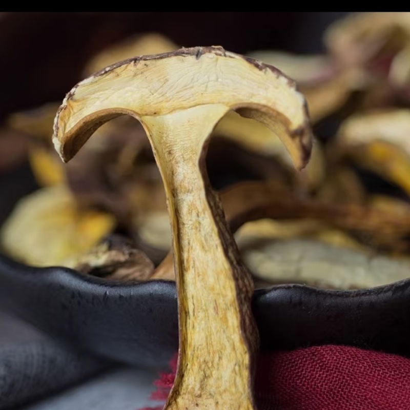 高原自然的黄牛肝菌干片批发优质山珍特产节日礼盒原料货源