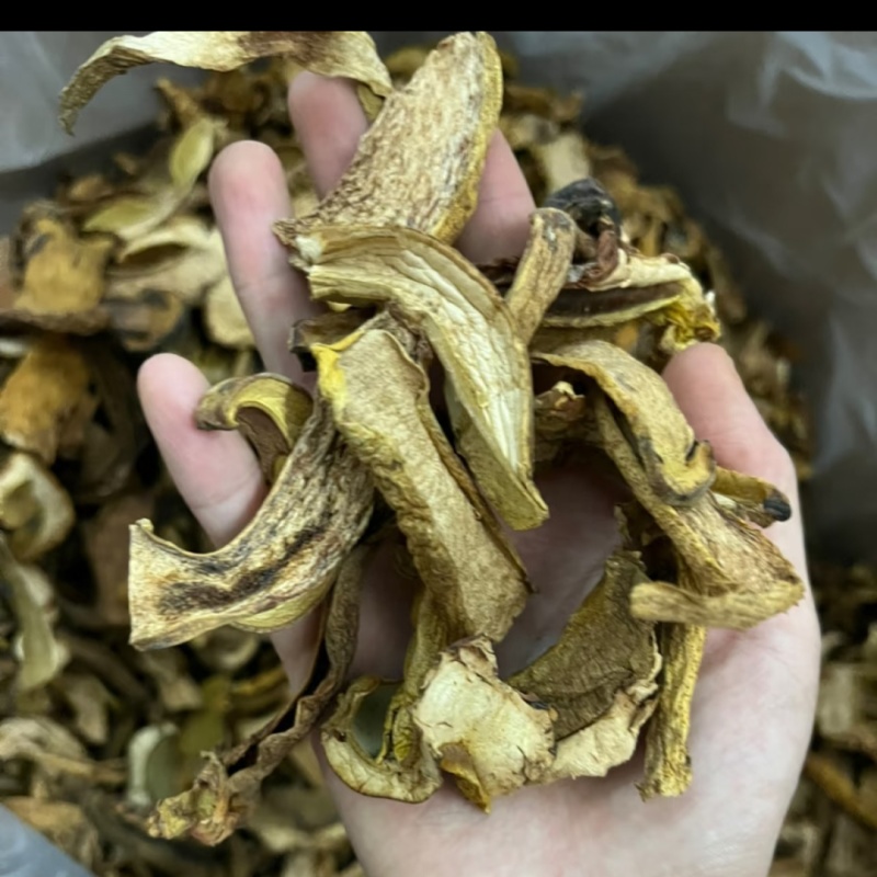 高原自然的黄牛肝菌干片批发优质山珍特产节日礼盒原料货源