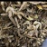 高原自然的黄牛肝菌干片批发优质山珍特产节日礼盒原料货源