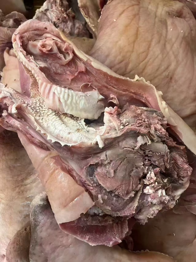 【熟牛头肉】熟食牛头肉，真空包装，纯大公牛头，质量有保障