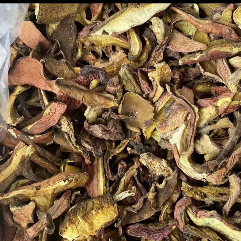 高原自然的黄牛肝菌干片批发优质山珍特产节日礼盒原料货源