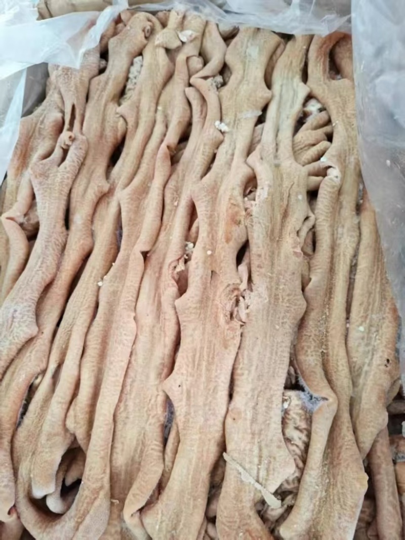 精品牛小肠，无异味，品质有保障，价格优惠需要联系