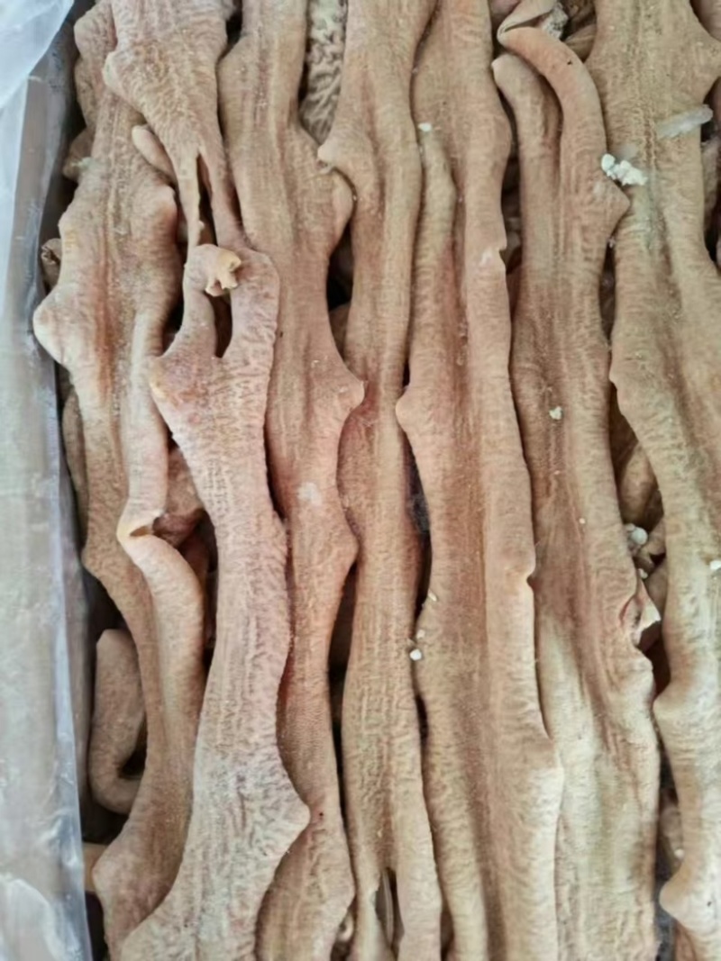 精品牛小肠，无异味，品质有保障，价格优惠需要联系