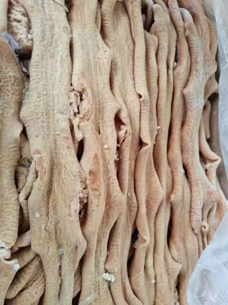 精品牛小肠，无异味，品质有保障，价格优惠需要联系
