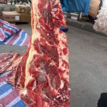 A级牛羽骨