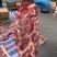 A级牛羽骨