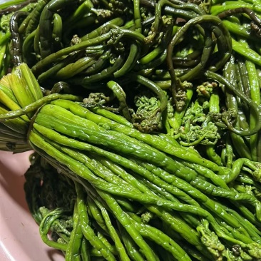 东北野生蕨菜
