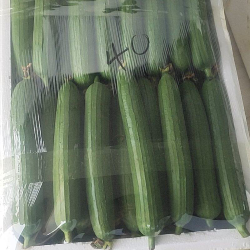 精品油丝瓜