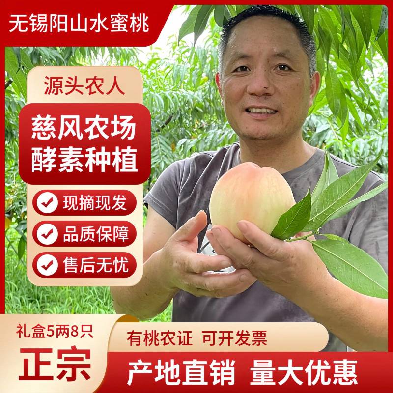 【1箱起售】5两8只慈风无锡阳山水蜜桃水密桃早桃白凤湖景