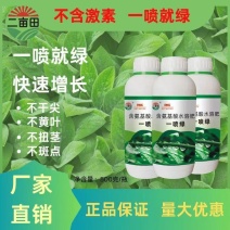 含氨基酸叶面肥一喷绿不干尖没斑点效果看的见