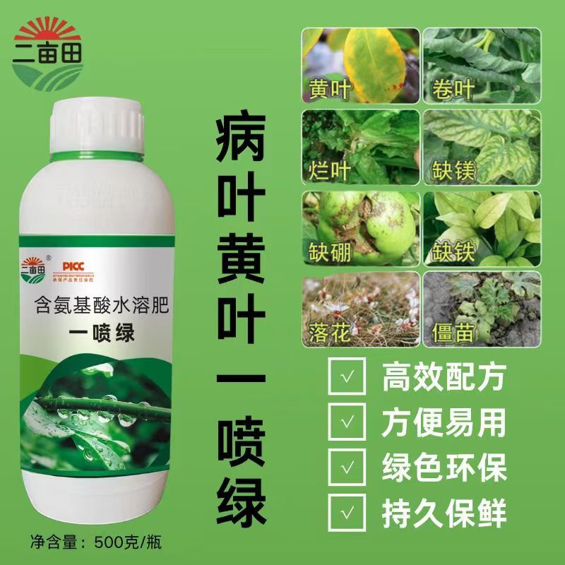 含氨基酸叶面肥一喷绿不干尖没斑点效果看的见