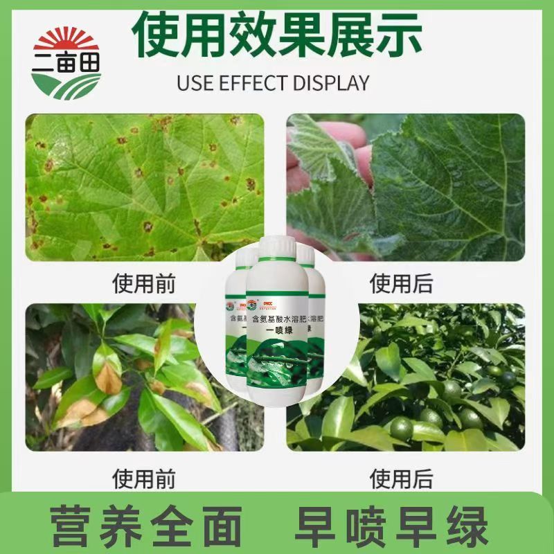 含氨基酸叶面肥一喷绿不干尖没斑点效果看的见