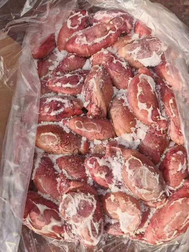鲜冻牛宝，个头均匀，一斤2个，适合多种餐饮用途，货源稳定