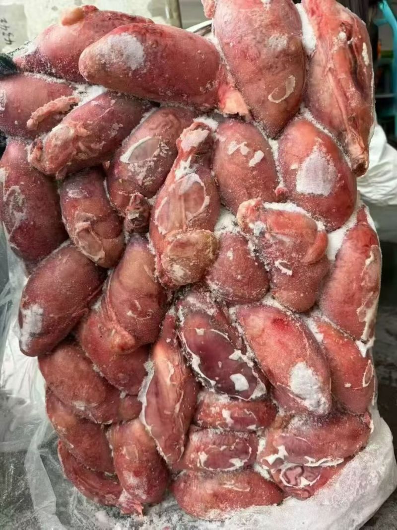 鲜冻牛宝，个头均匀，一斤2个，适合多种餐饮用途，货源稳定