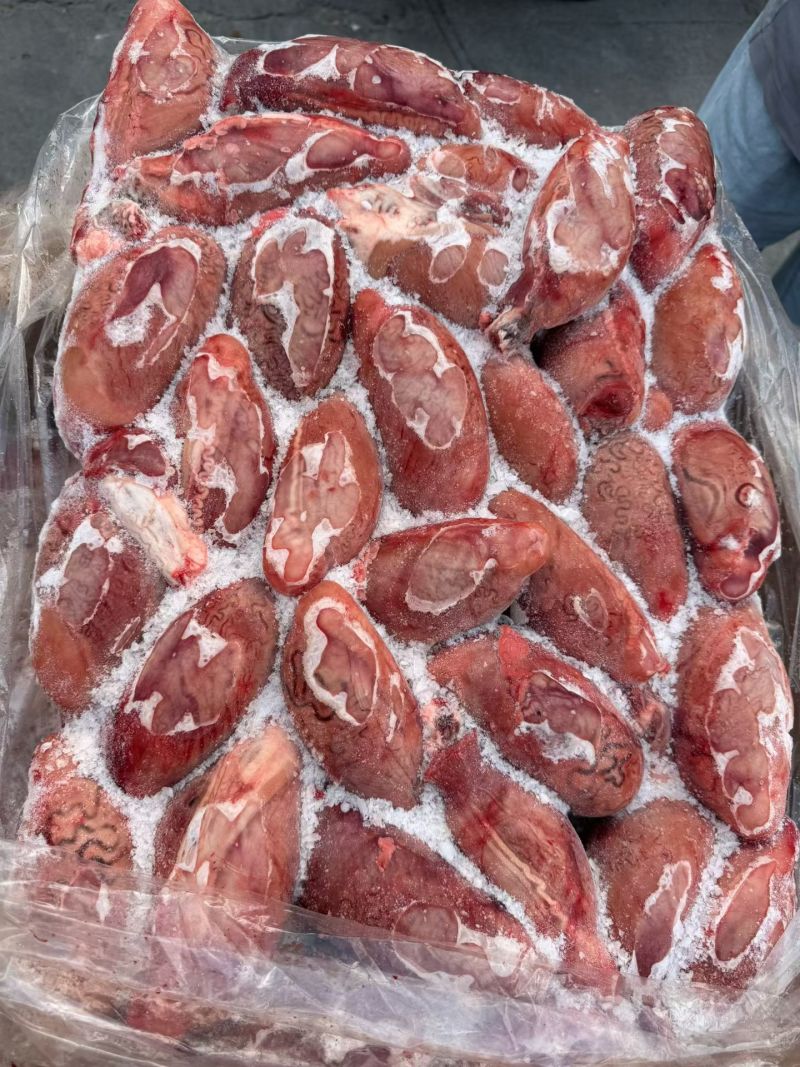鲜冻牛宝，个头均匀，一斤2个，适合多种餐饮用途，货源稳定