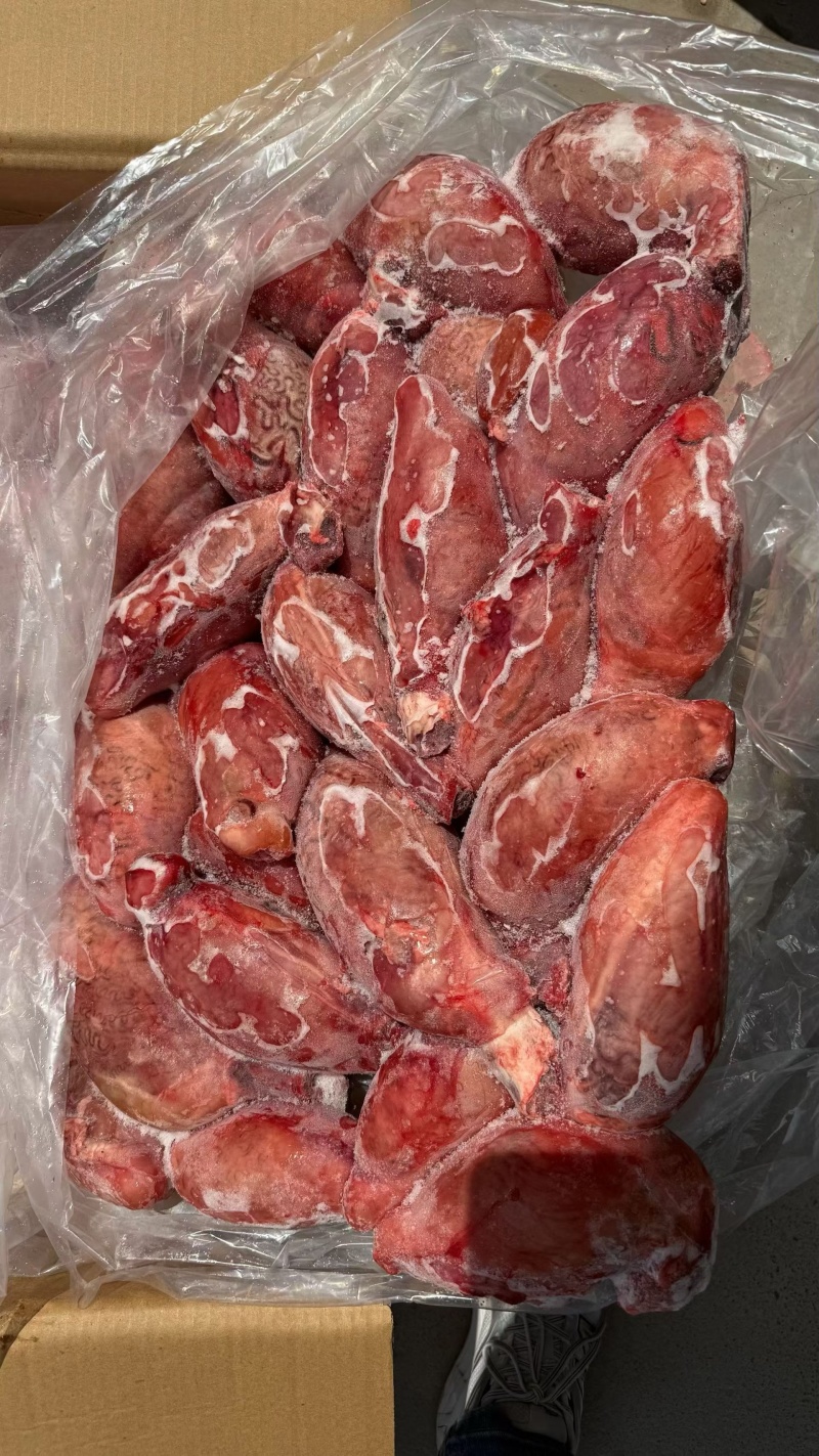 鲜冻牛宝，个头均匀，一斤2个，适合多种餐饮用途，货源稳定