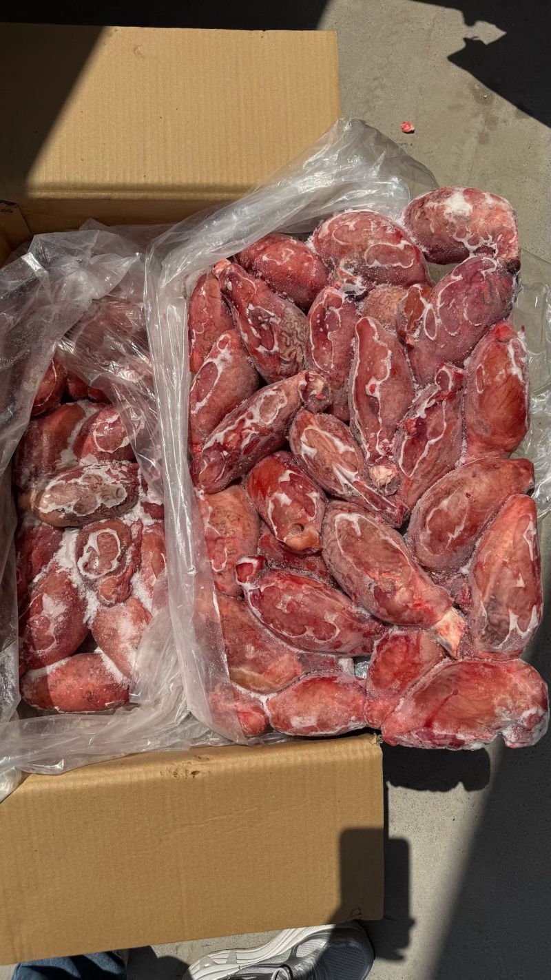 鲜冻牛宝，个头均匀，一斤2个，适合多种餐饮用途，货源稳定