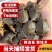 外塘冷水出壳甲鱼苗2-4克水库鱼塘养殖苗