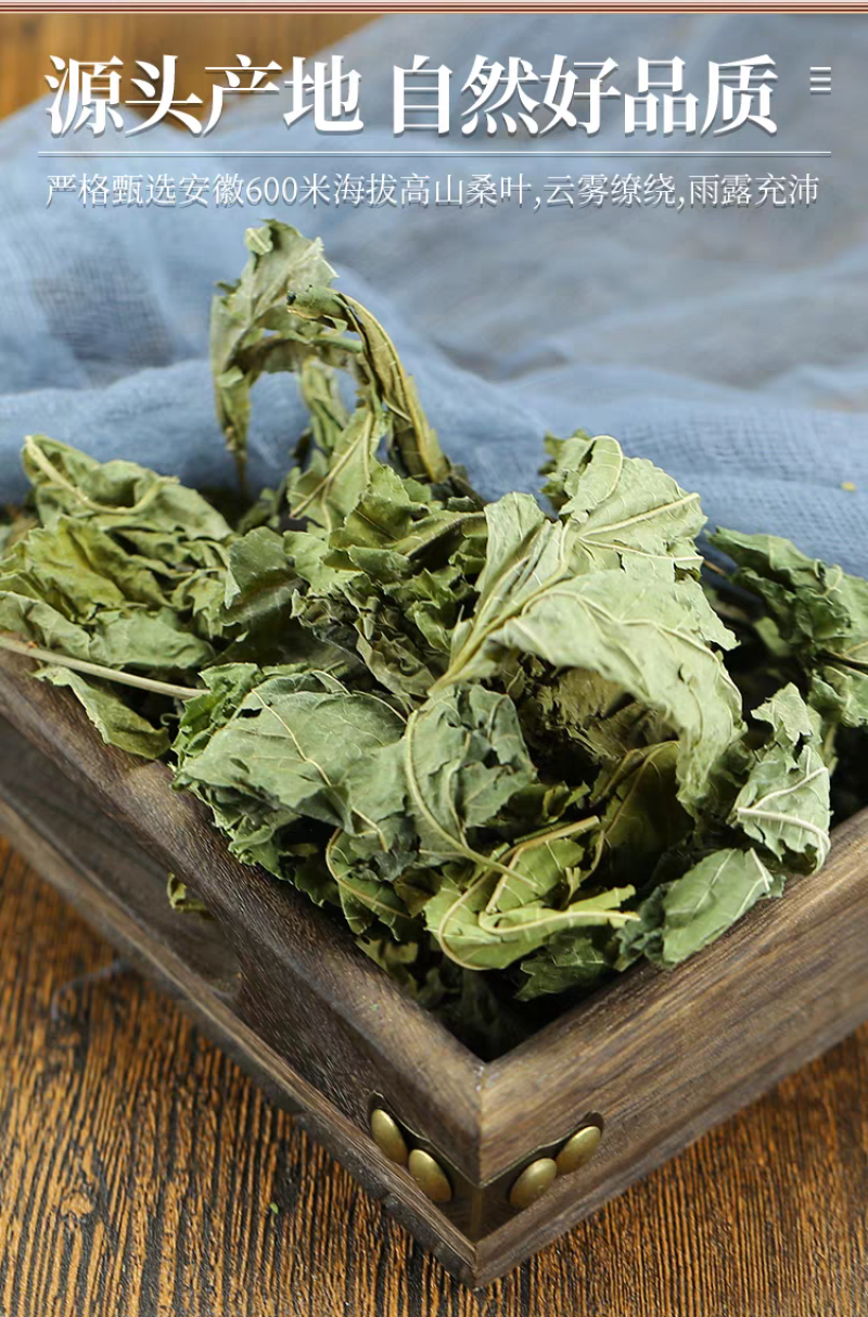 包邮桑叶干桑叶桑叶茶冬桑叶泡水桑叶中药材500克霜桑叶