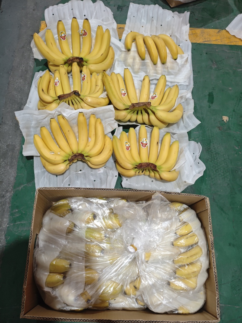香蕉，几毛钱一斤，全国发货