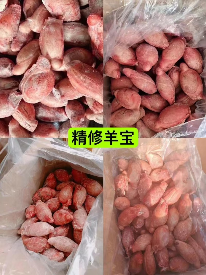 精修羊宝