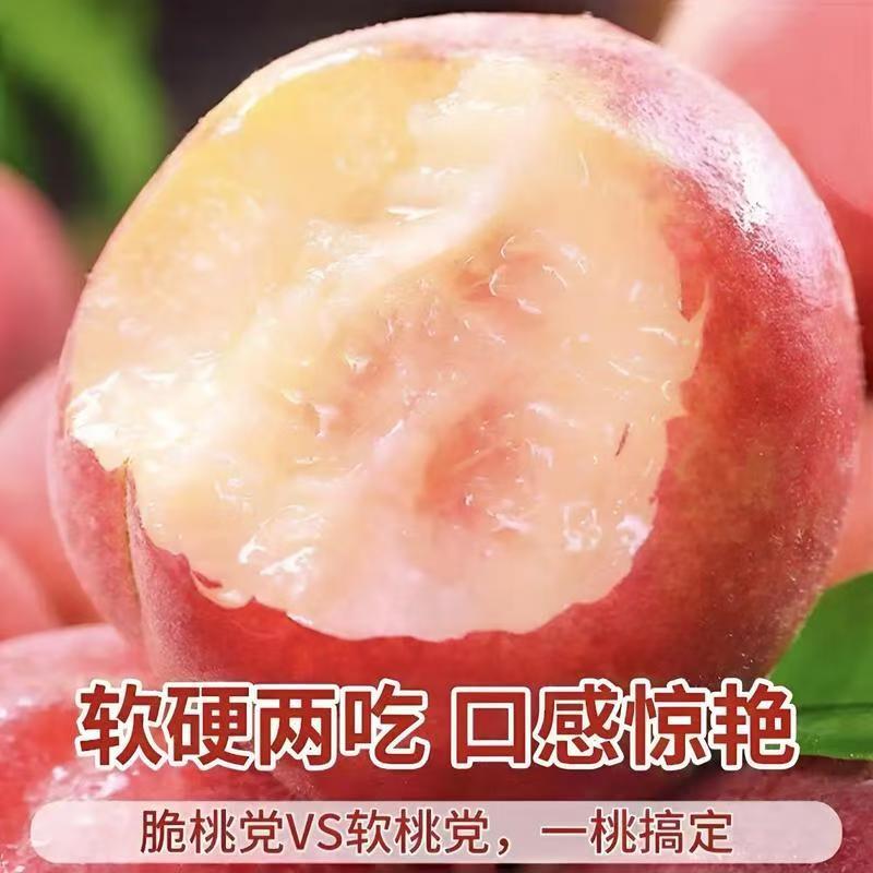 春雪水蜜桃支持一件代发