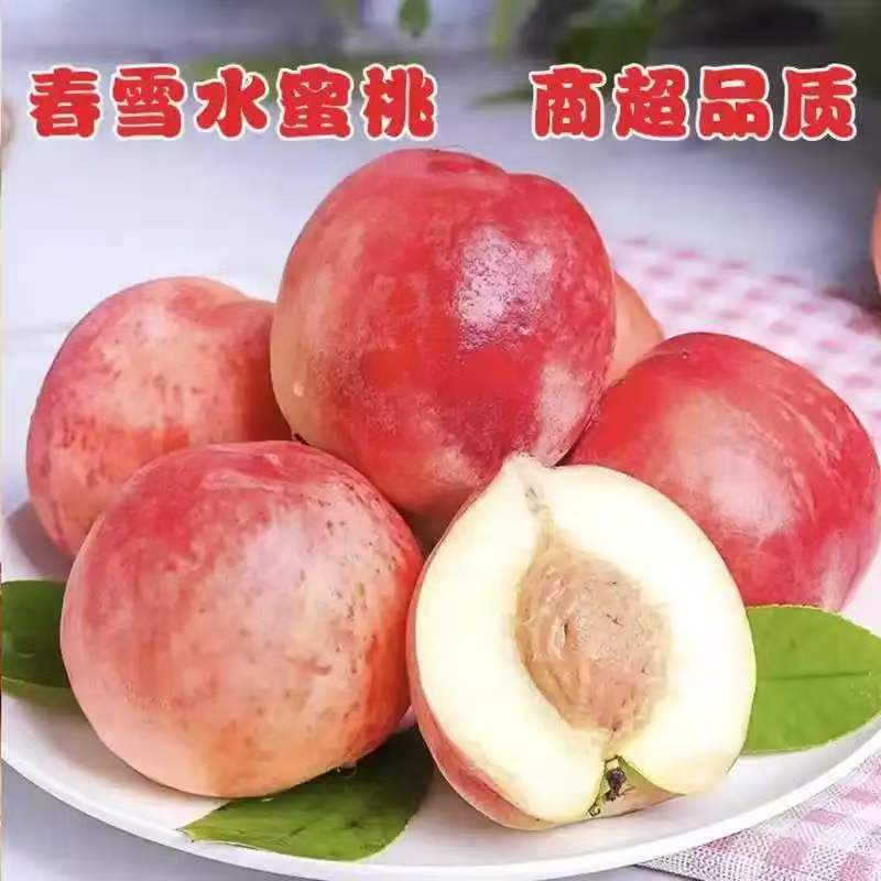 春雪水蜜桃支持一件代发